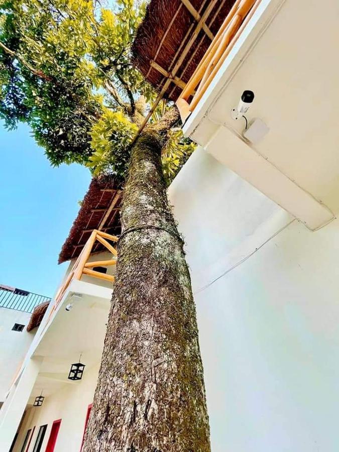 Hotel Sierra Linda Xilitla Eksteriør bilde